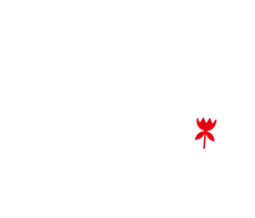 電商網(wǎng)站定制
