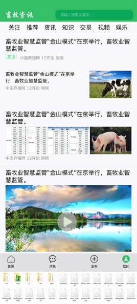 畜牧資訊新聞手機(jī)APP頁面模板